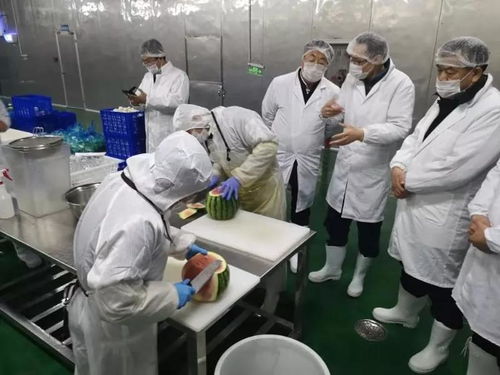 中衛硒砂瓜產業考察團參訪四季青寧夏保鮮技術研究院上海創新樣板工廠